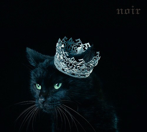 Aimer – BEST SELECTION “noir” [320K][148.7MB]-影音屋