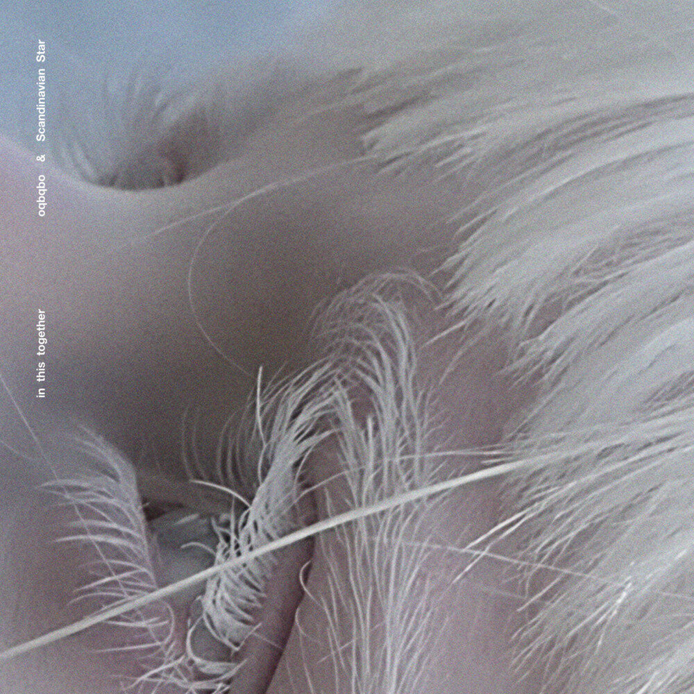 oqbqbo《In This Together》[24Bit-44.1kHz][FLAC/分轨][364.27MB]-影音屋