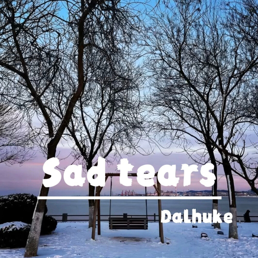 Dalhuke《Sad tears》[FLAC/分轨][80.44MB]-影音屋