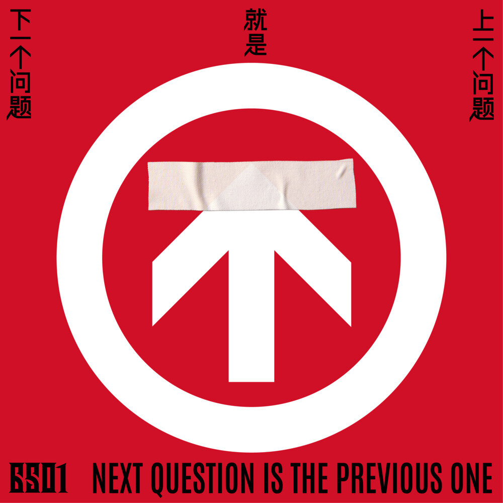 6501乐队《下一个问题就是上一个问题》[FLAC/分轨][337.2MB]-影音屋
