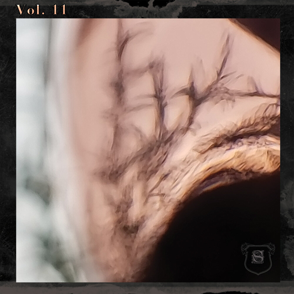 群星《Seippelabel Vol.11》[FLAC/分轨][569.75MB]-影音屋