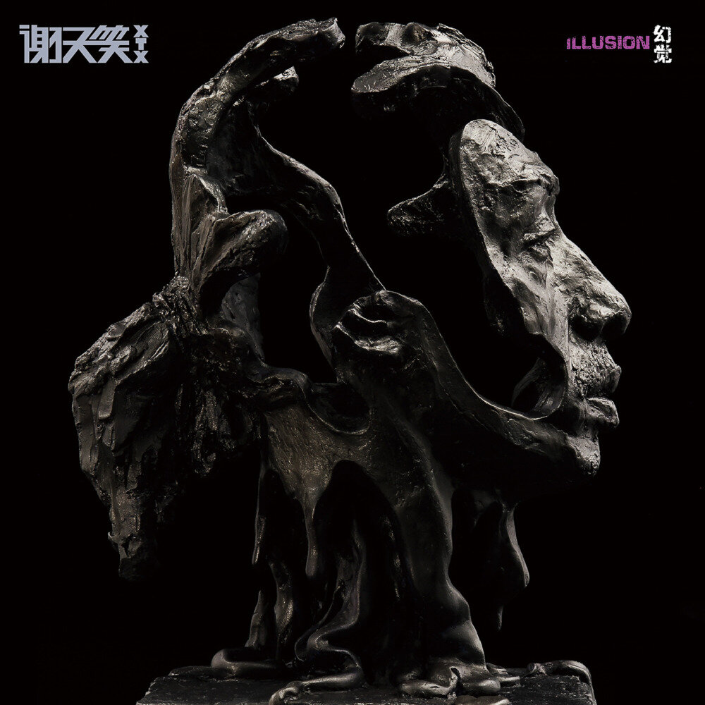 谢天笑《幻觉》[FLAC/分轨][258.06MB]-影音屋