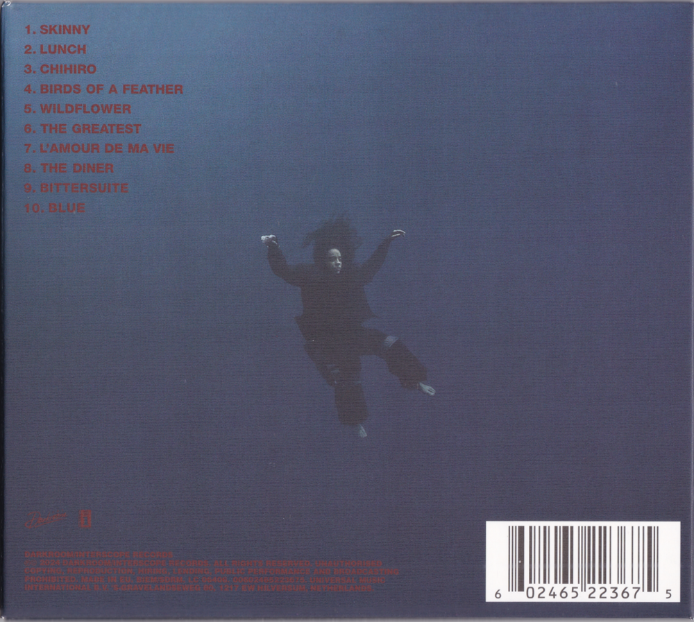 图片[2]-Billie Eilish – Hit Me Hard And Soft [WAV+CUE][403MB]-影音屋