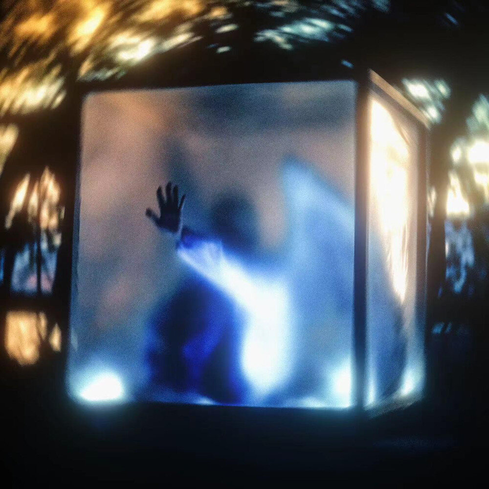 虎皮蛋《囚鸟》[320K/MP3][40.71MB]-影音屋