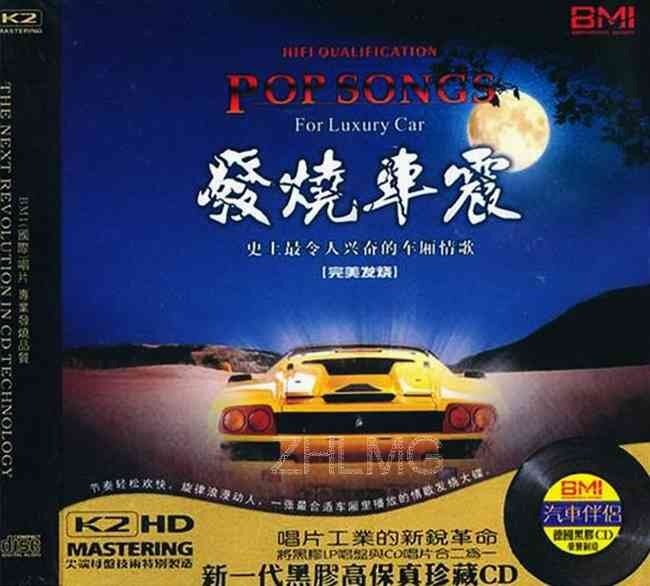 群星《 最令人兴奋的车厢DJ情歌 - 发烧车震》[WAV分轨][1.2G]-影音屋