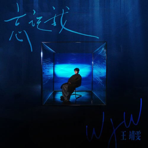 王靖雯《忘记我》[320K/MP3][68.39MB]-影音屋
