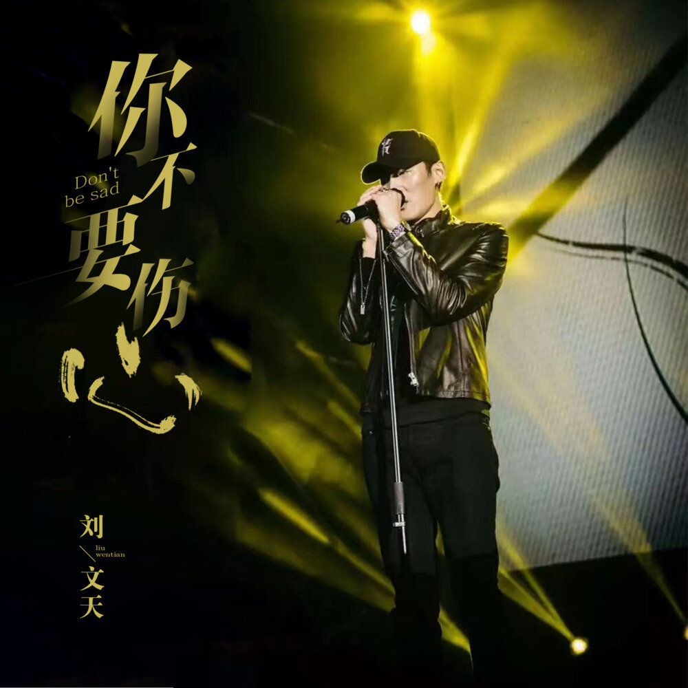刘文天《你不要伤心》[320K/MP3][39.05MB]-影音屋