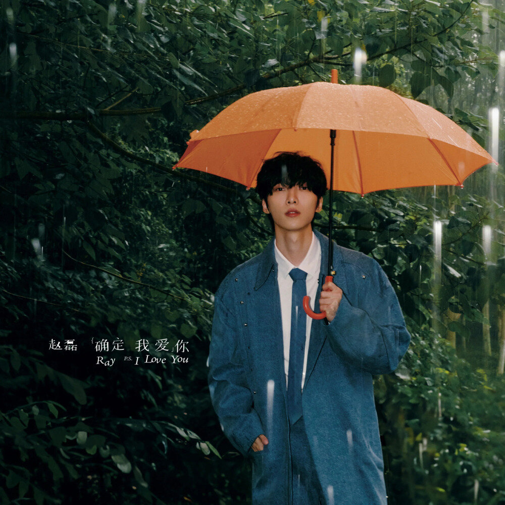 赵磊《确定我爱你》[320K/MP3][17.73MB]-影音屋