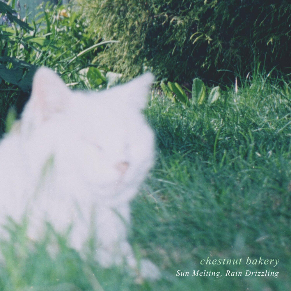 chestnut bakery《Sun Melting, Rain Drizzling》[FLAC/分轨][123.32MB]-影音屋