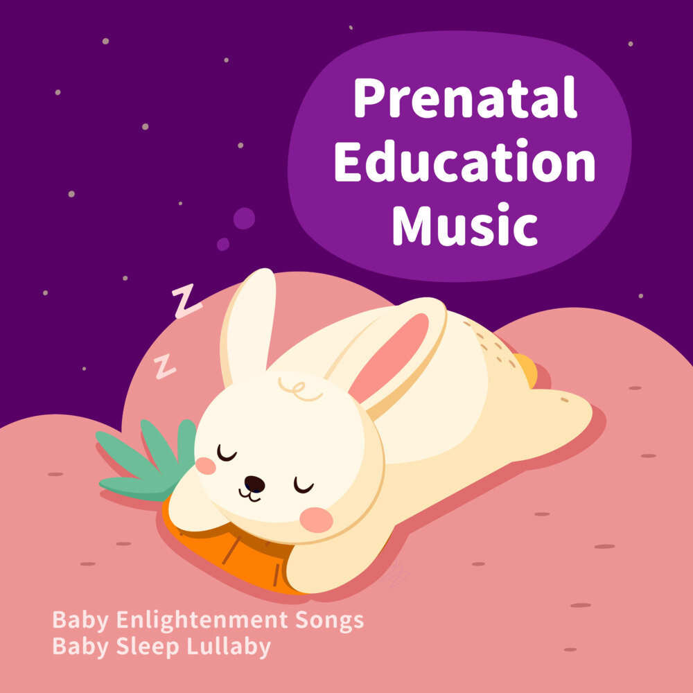 贵族音乐《胎教音乐 宝宝启蒙名曲 婴儿哄睡摇篮曲》[320K/MP3][130.14MB]-影音屋