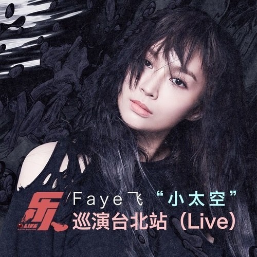 飞儿乐队《乐人·Live：Faye飞“小太空”巡演台北站》[专辑][MP3][66MB]-影音屋