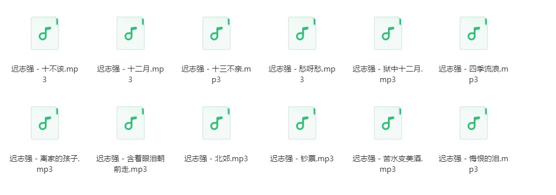 图片[2]-迟志强《迟志强歌曲合集》[320K/MP3][105.7MB]-影音屋