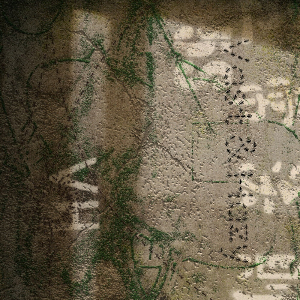 VH《五常法则》[FLAC/分轨][436.23MB]-影音屋