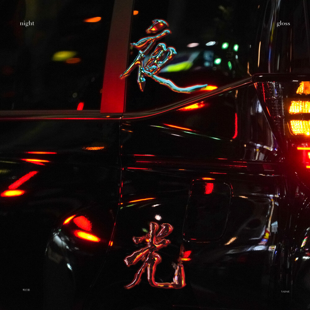 鸭打鹅《夜光 night gloss》[FLAC/分轨][507.13MB]-影音屋