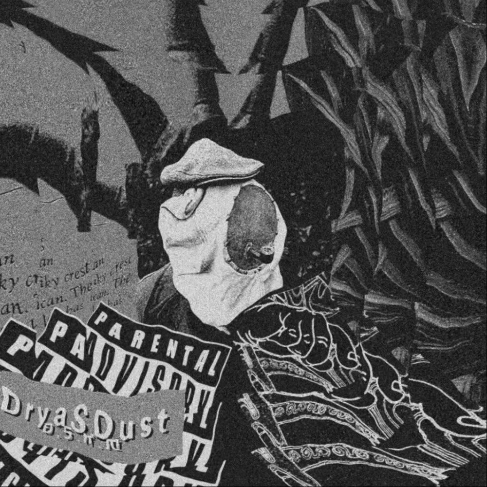 海啸Rtruenahmean《D.S.X.M DryaSDust (Clean)》[FLAC/分轨][225.74MB]-影音屋