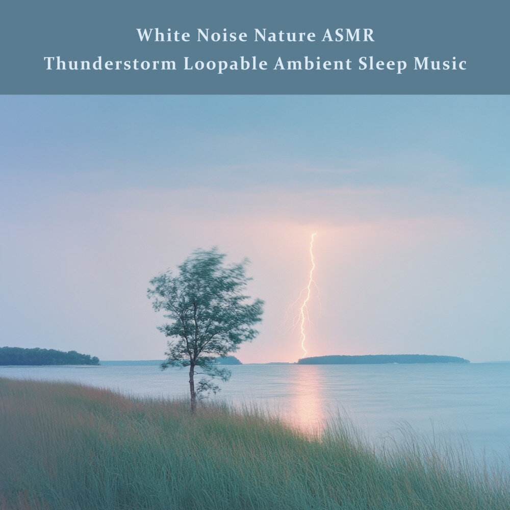 贵族音乐《白噪音大自然ASMR 雷雨不间断 空灵睡眠音乐》[FLAC/分轨[826.69MB]-影音屋