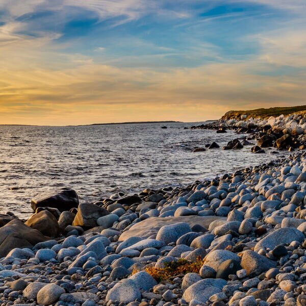 Bela String Quartet《Bela String Quartet》[Hi-Res][24Bit-96kHz][FLAC/分轨][216.58MB]-影音屋