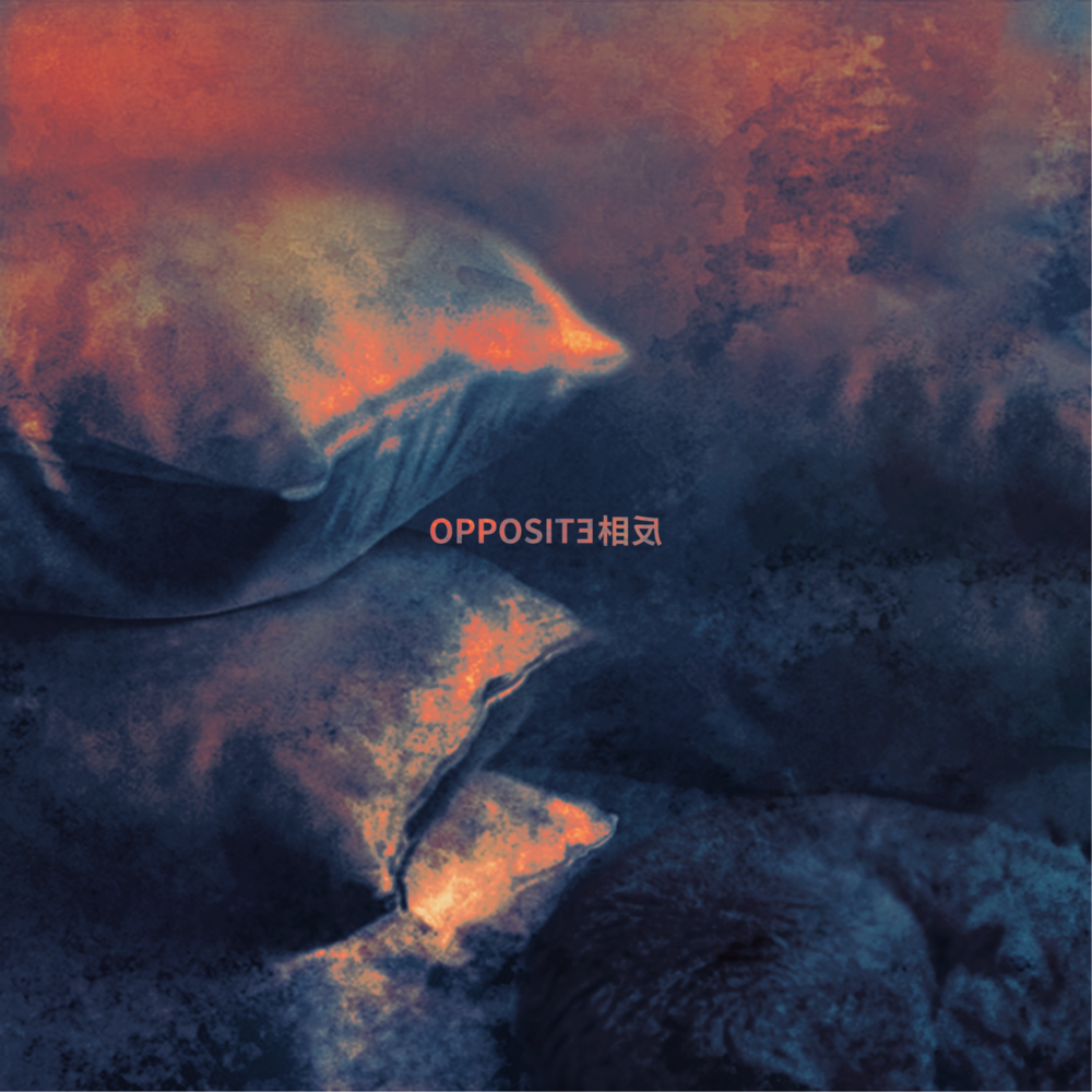 OPPOSITE相反《正在独处的枕头》[Hi-Res][24bit-48kHz][FLAC/分轨][678.59MB]-影音屋