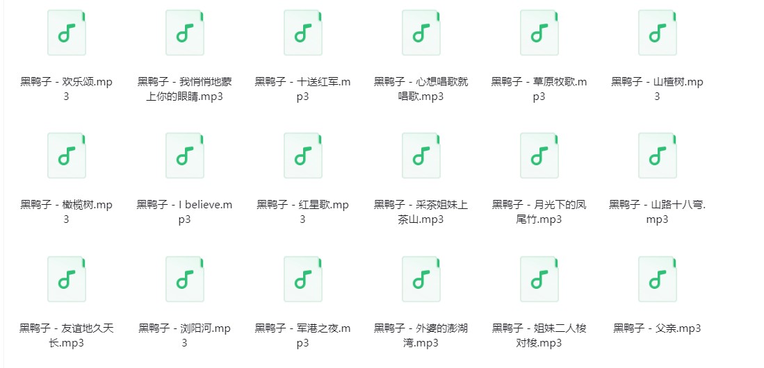 图片[3]-黑鸭子《黑鸭子歌曲合集》[320K/MP3][914.2MB]-影音屋