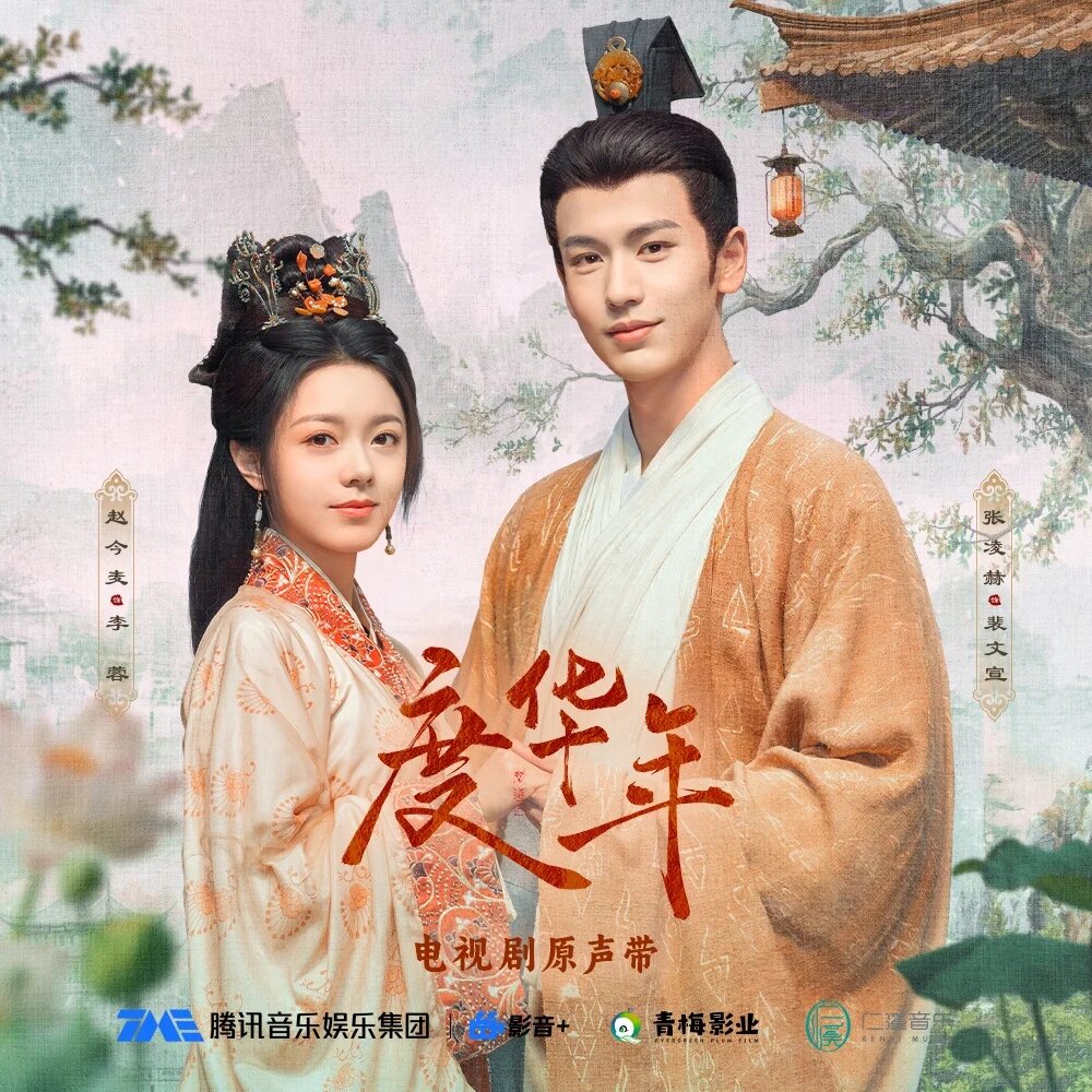 群星《度华年 电视剧原声带》[FLAC/分轨][943.95MB]-影音屋