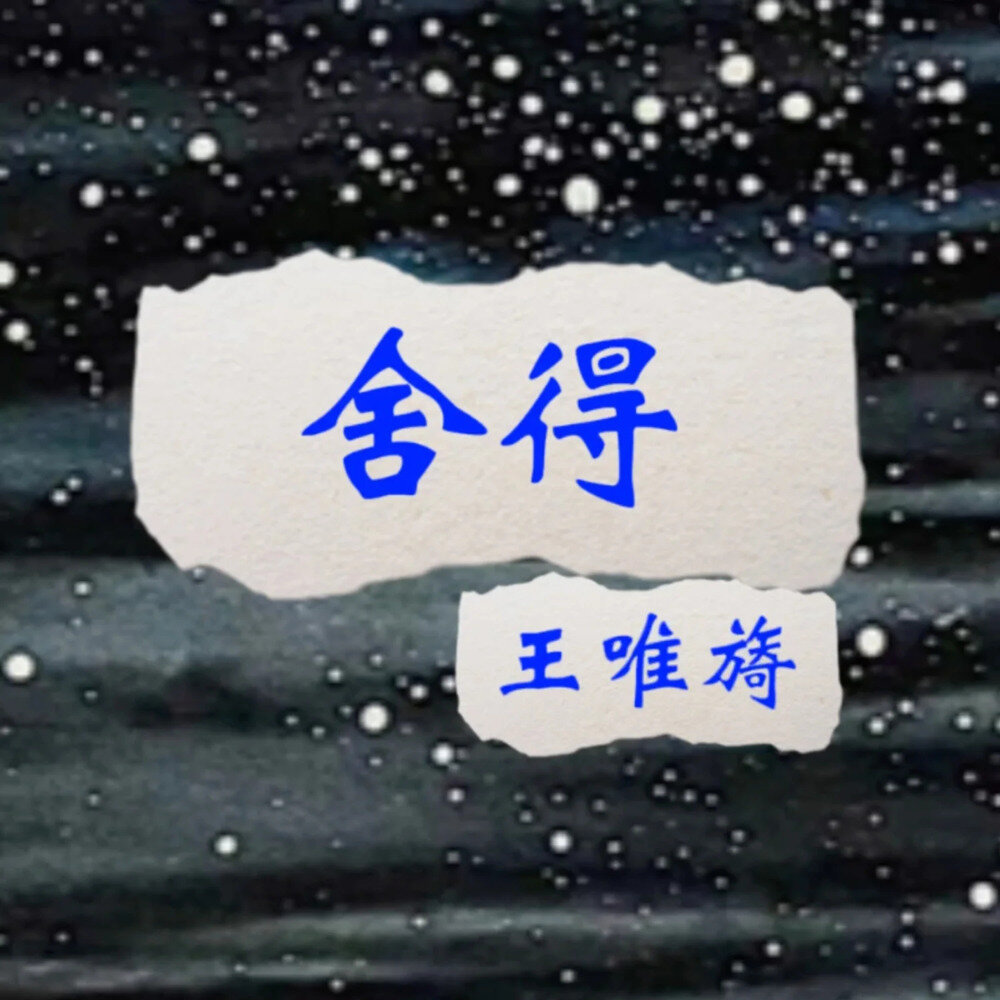 王唯旖《舍得（Remix版）》[FLAC/分轨][139.78MB]-影音屋