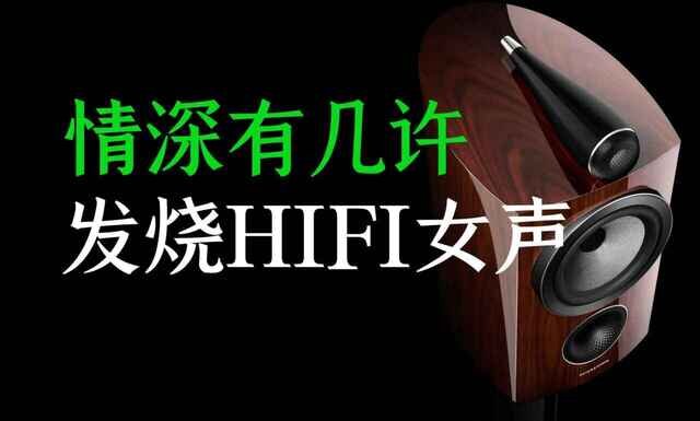 车载极致女声HIFI试音碟300首无损音乐[WAV分轨][13.6GB]-影音屋