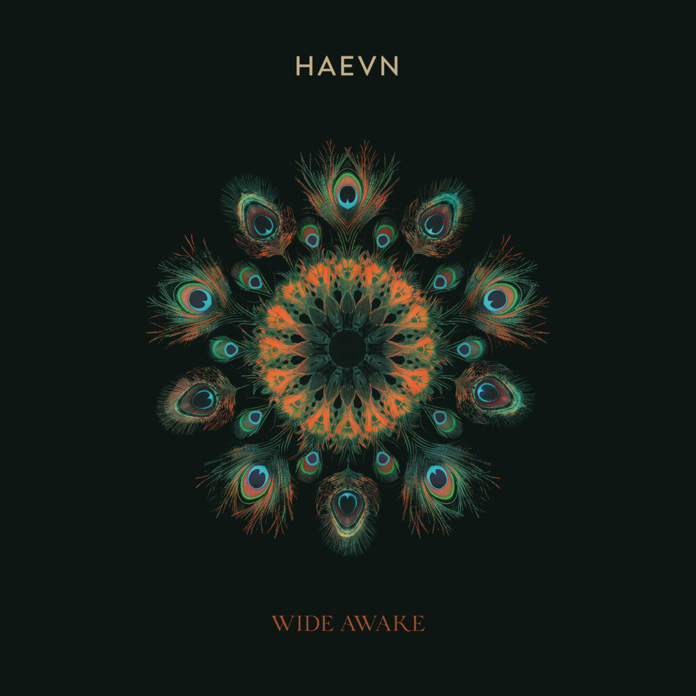 HAEVN《Wide Awake (Deluxe)》[320K/MP3][84.19MB]-影音屋
