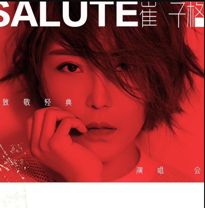 崔子格《崔子格歌曲合集》[320K/MP3][121.9MB]-影音屋