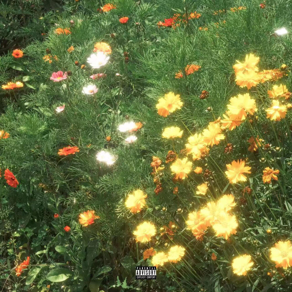 燕港川《燕子》[24bit-48kHz][FLAC/分轨][230.63MB]-影音屋