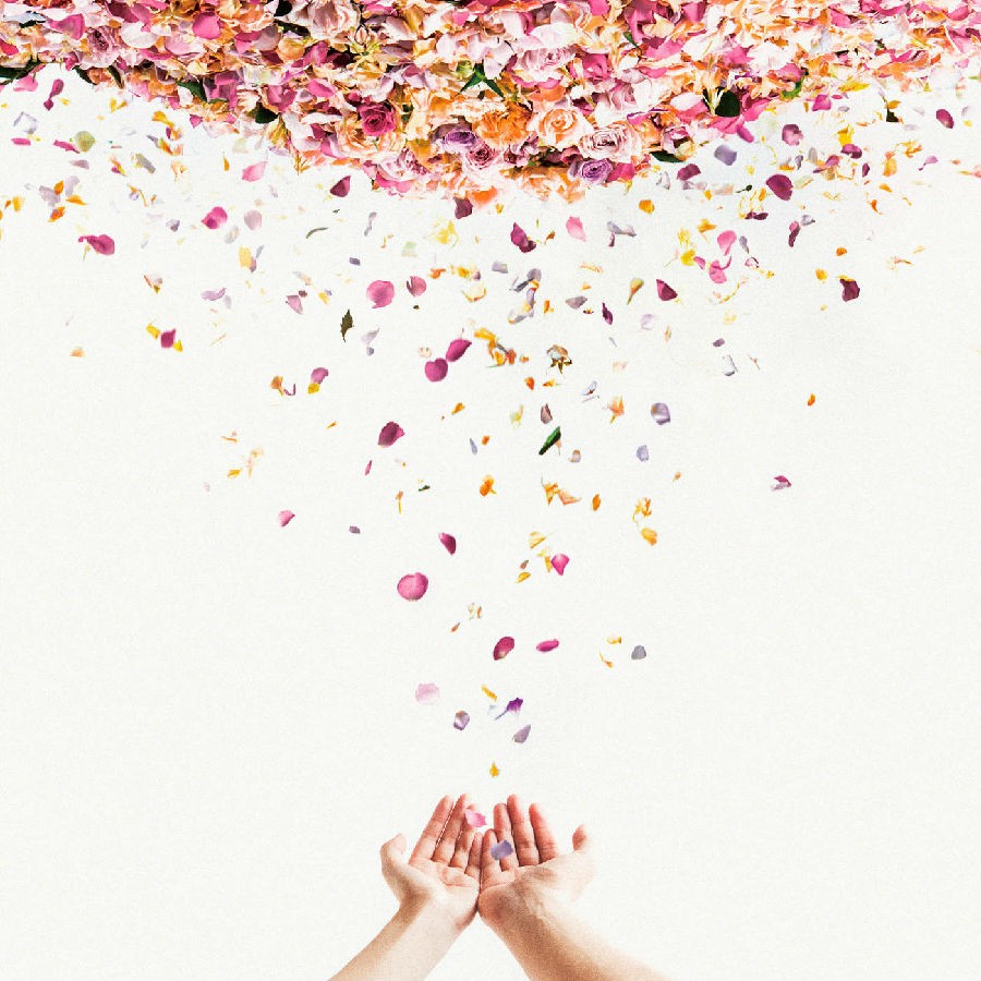 图片[3]-龙珠超 ドラゴンボール超 音乐专辑 [更新至180307][320K]-影音屋