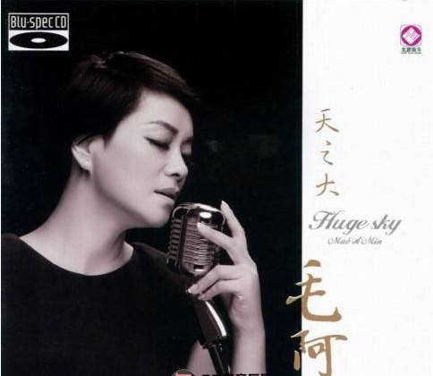 毛阿敏《天之大》[WAV+CUE][550MB]-影音屋