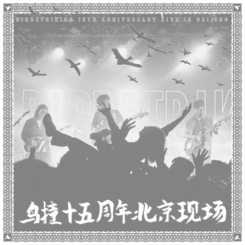 鸟撞 Birdstriking《鸟撞十五周年北京现场》[320K/MP3][227.65MB]-影音屋
