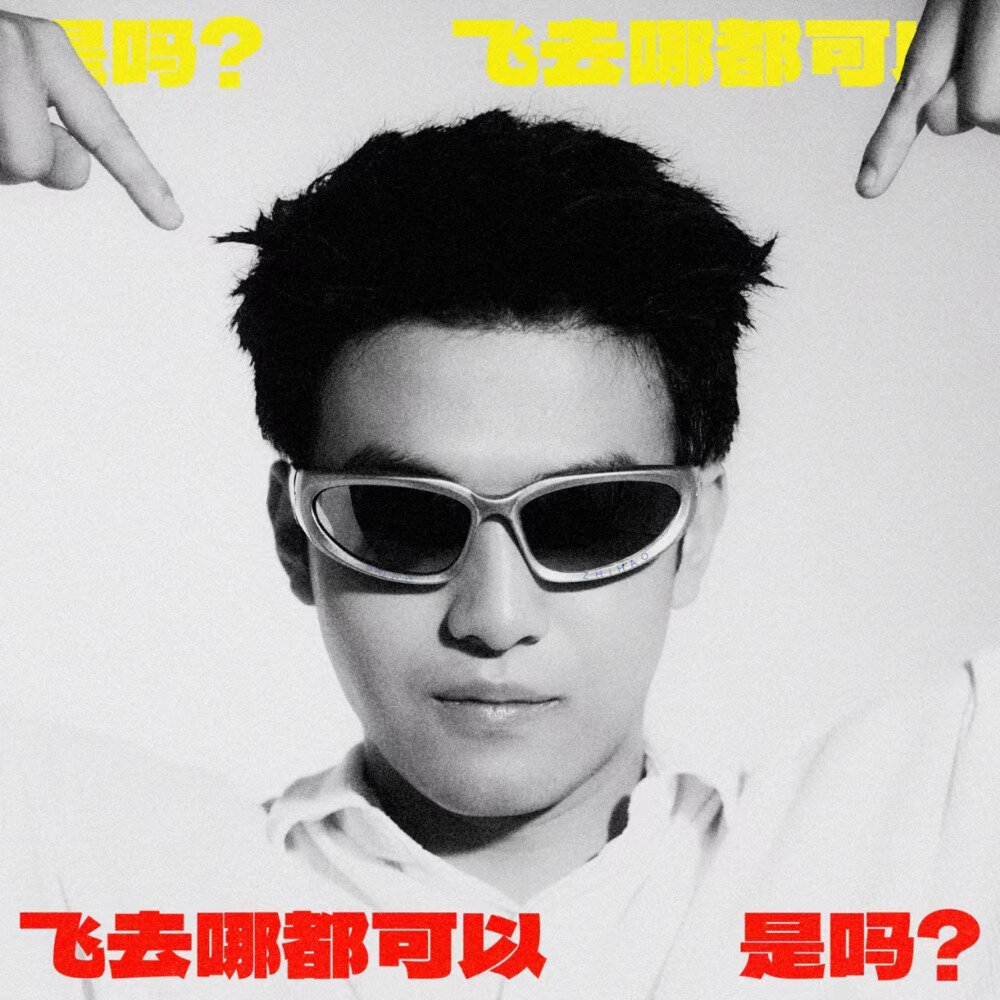 段志豪《飞去哪都可以，是吗》[FLAC/分轨][354.33MB]-影音屋