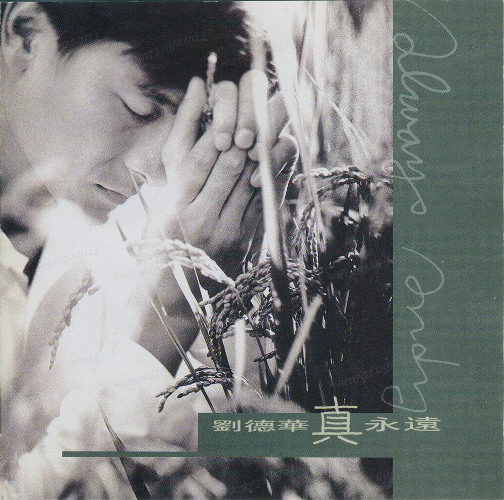 刘德华《真永远》[新加坡版][WAV+CUE][1G]-影音屋