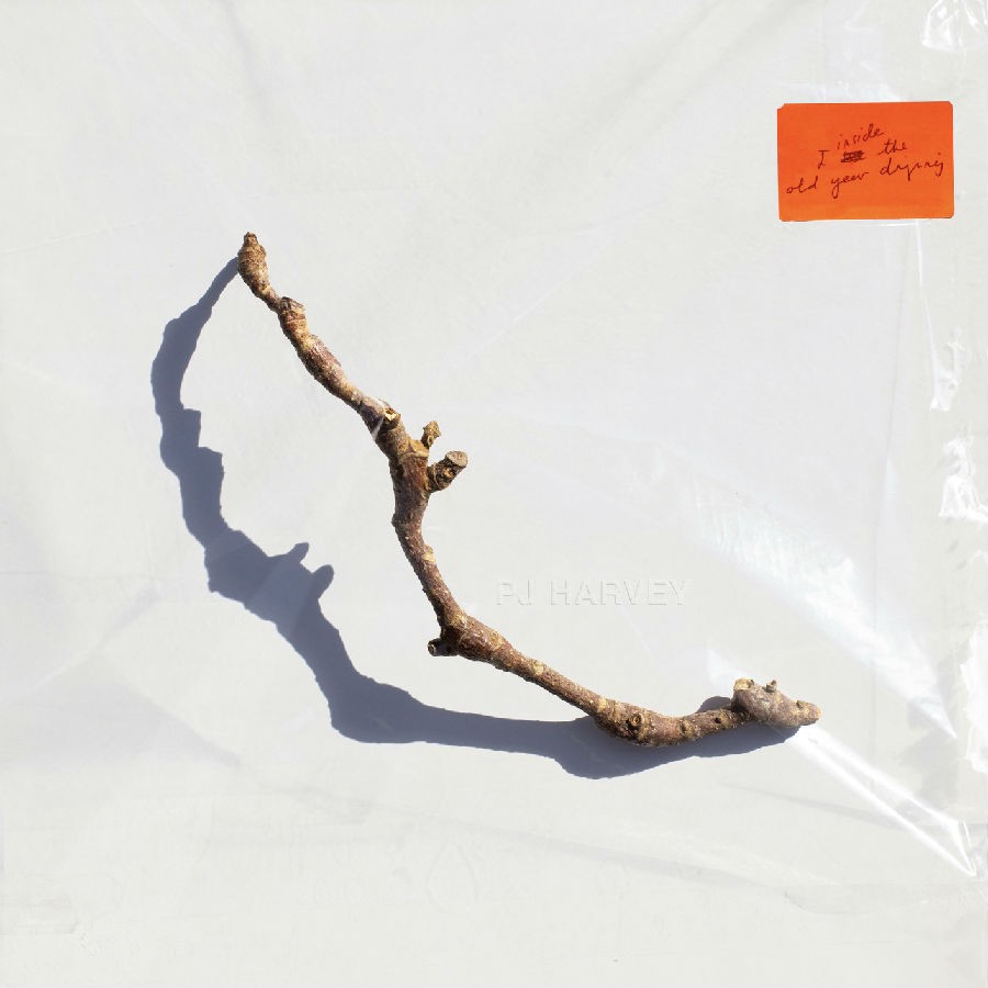 图片[3]-《I Inside the Old Year Dying》波莉·简·哈维 PJ Harvey 2023.7月最新专辑[FLAC][745M]-影音屋