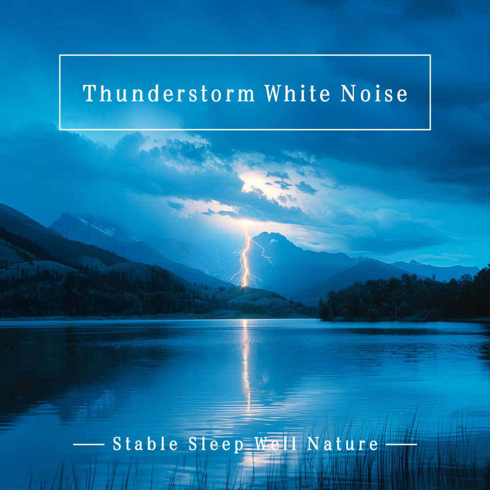 贵族音乐《雷雨白噪音 安稳 舒眠 大自然》[320K/MP3][157.35MB]-影音屋