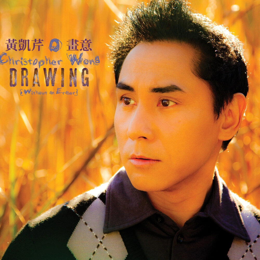 黄凯芹《画意》[320K/MP3][2025]-影音屋