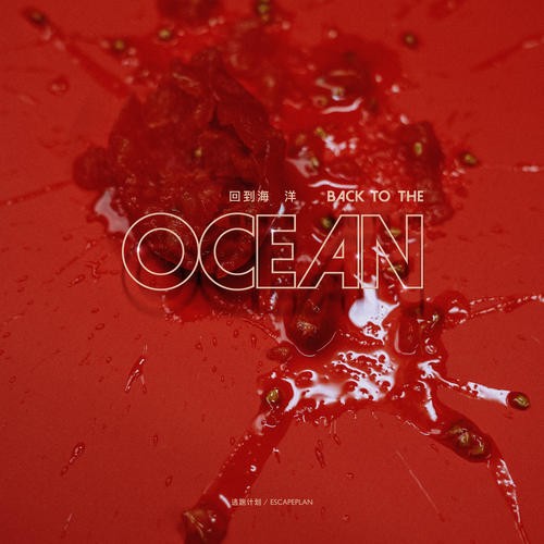 逃跑计划《回到海洋》[FLAC/MP3][438M]-影音屋