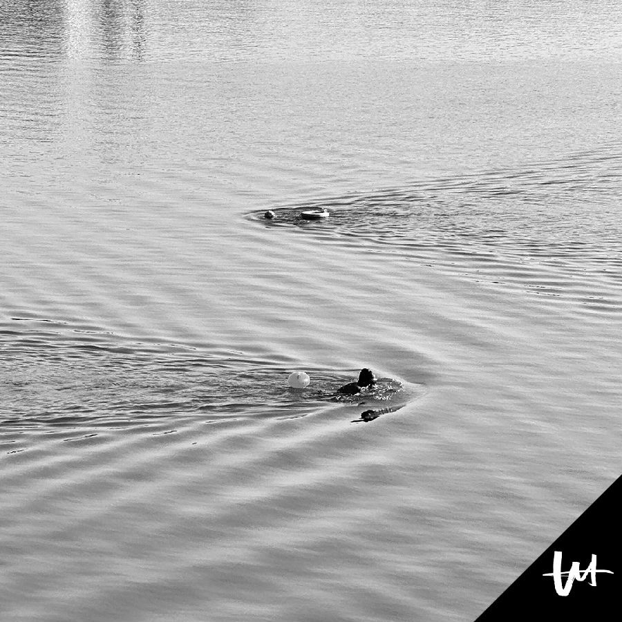 吴宇深《戛然而止》[320K/MP3][2024]-影音屋