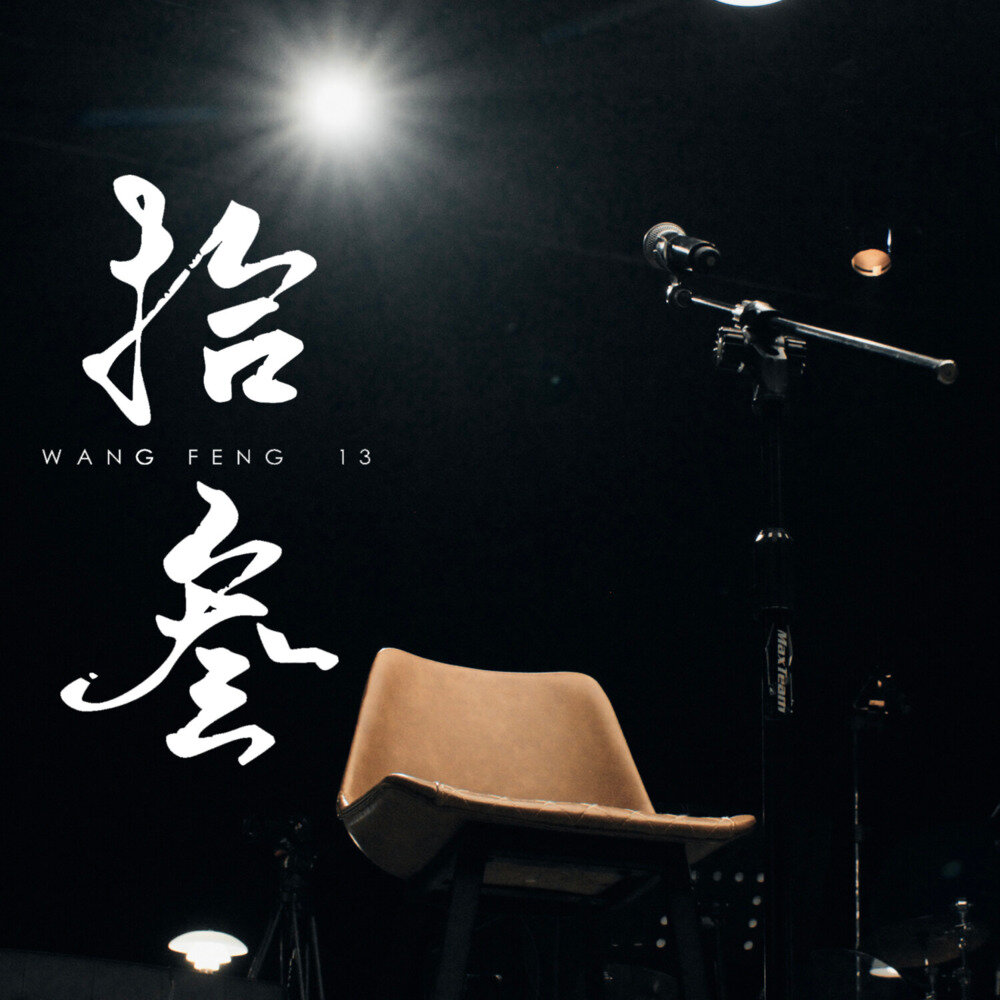 汪峰《拾叁》[FLAC/分轨][438.64MB]-影音屋