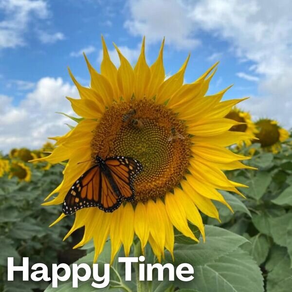 Various Artists《Happy Time》[16Bit-44.1kHz][FLAC/分轨][811.3MB]-影音屋