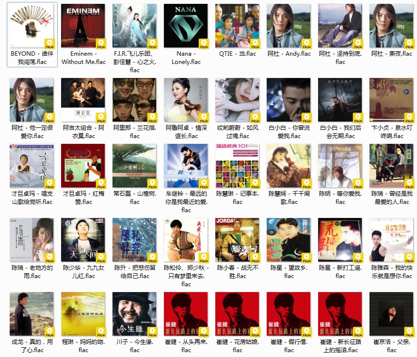 《华语歌单 经典老歌 收集319首 满满的回忆 内嵌词图》[FLAC/分轨][8.5GB]-影音屋