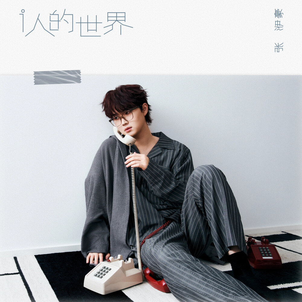 张洢豪《i人的世界》[FLAC/分轨][377.87MB]-影音屋