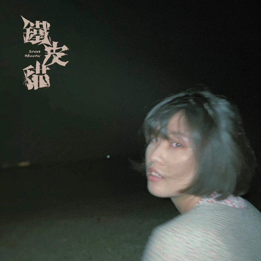 铁皮猫《只要浪漫不要命(Explicit)》[320K/MP3][42.57MB]-影音屋