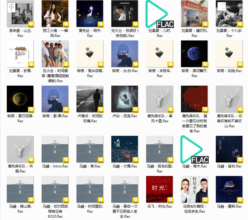 图片[6]-《歌单 民谣与酒 姑娘 吉他 南北方 甄选458首》[FLAC/MP3][12GB]-影音屋