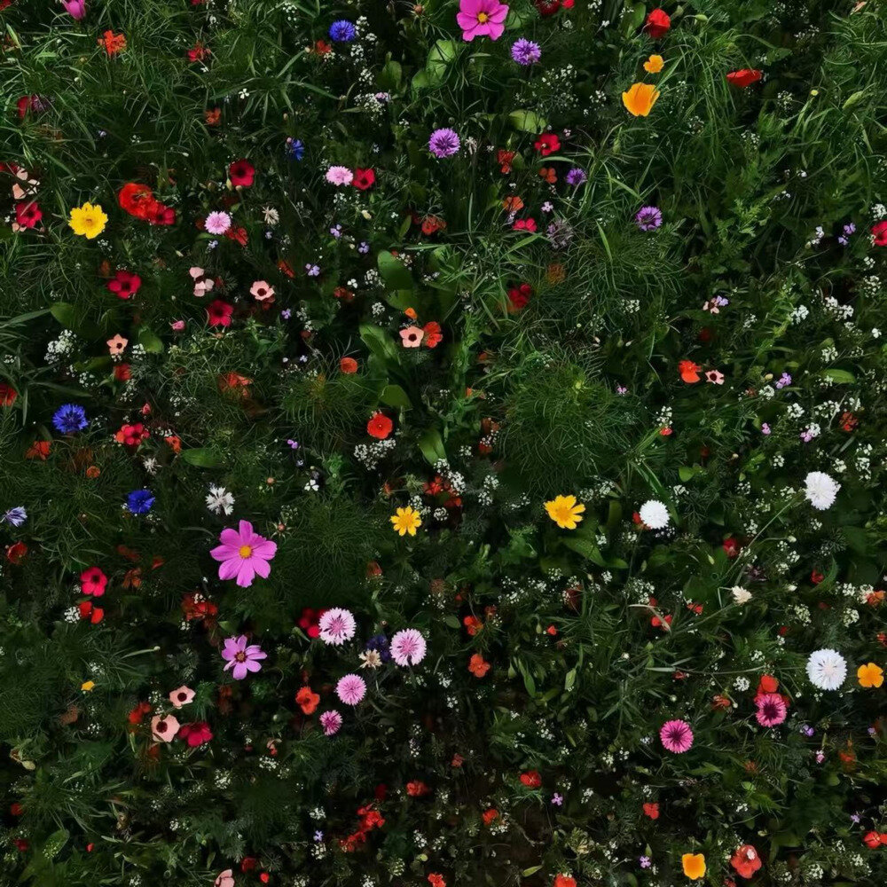 Eddie Chen《Got u》[FLAC/分轨][25.05MB]-影音屋