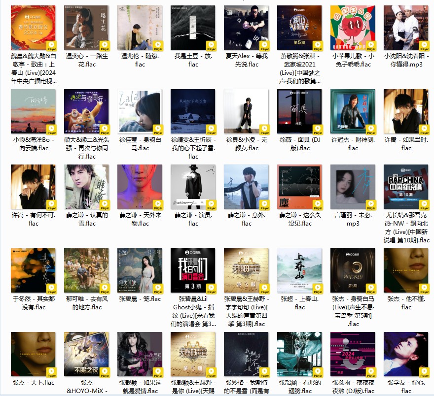 图片[5]-《QQ音乐 抖音热歌榜 225首 2024年第1季度.共计10期 TOP100》[FLAC/分轨][7.3GB]-影音屋