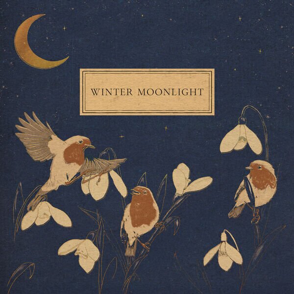 Evgeny Grinko《Winter Moonlight》[320K/MP3][54.21MB]-影音屋