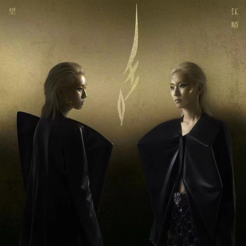 望江晴《望》[FLAC/分轨][423.28MB]-影音屋