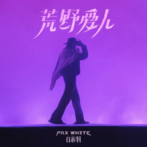 白举纲《荒野爱人 上篇 虚妄之国》[320K/MP3][40.47MB]-影音屋